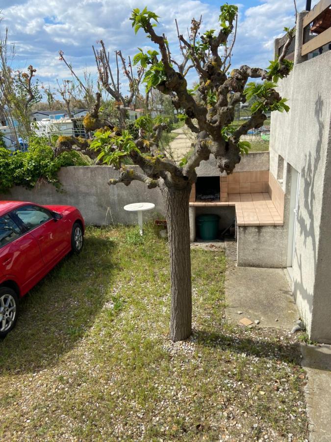 Appt Avec Parking, Clim, Wifi A 50 M De La Plage Palavas-les-Flots Exteriér fotografie